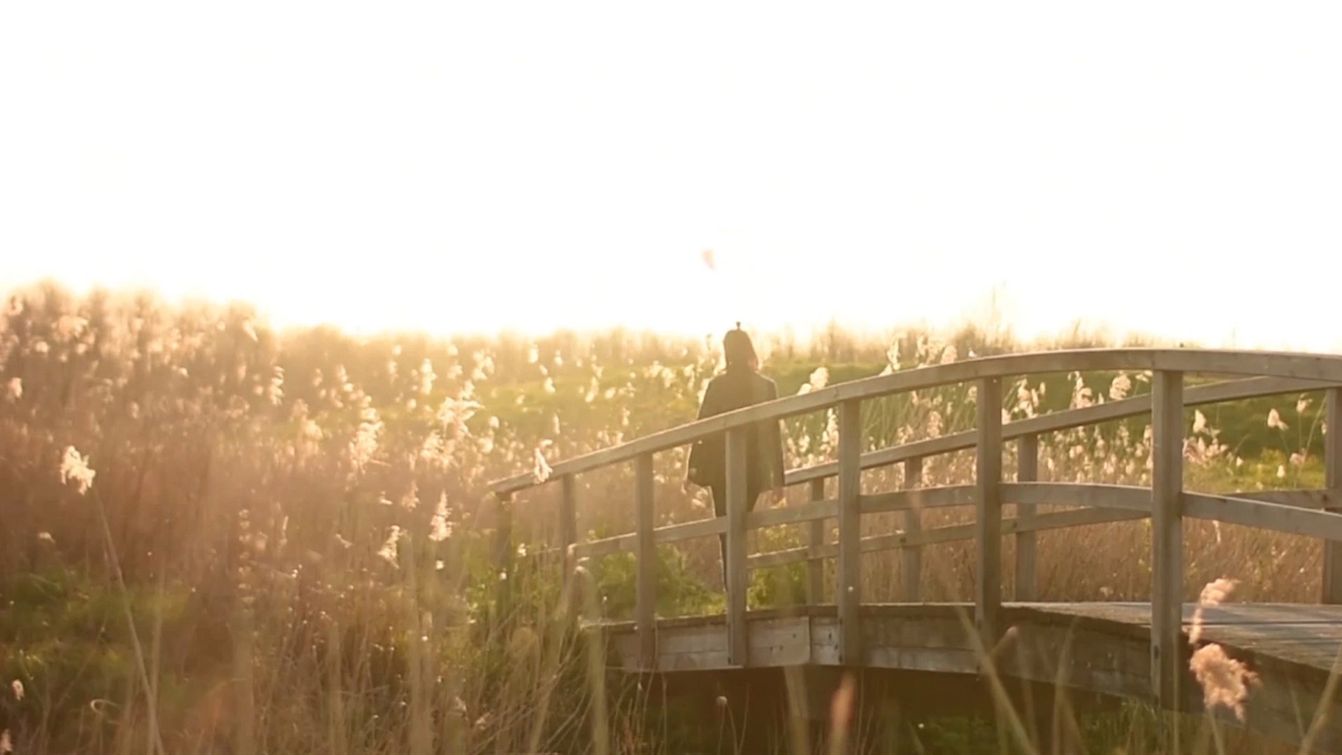 Tegel video thumbnail